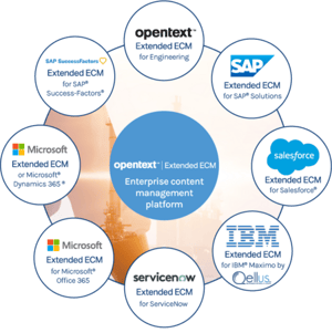 big-Qellus - Case Studies 2023